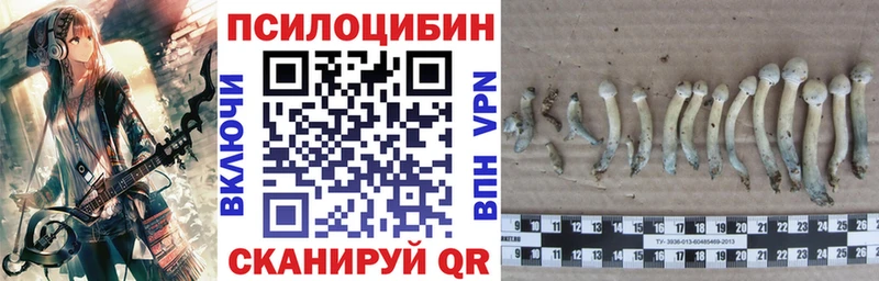 Купить где  Сольцы  Псилоцибиновые грибы ЛСД 